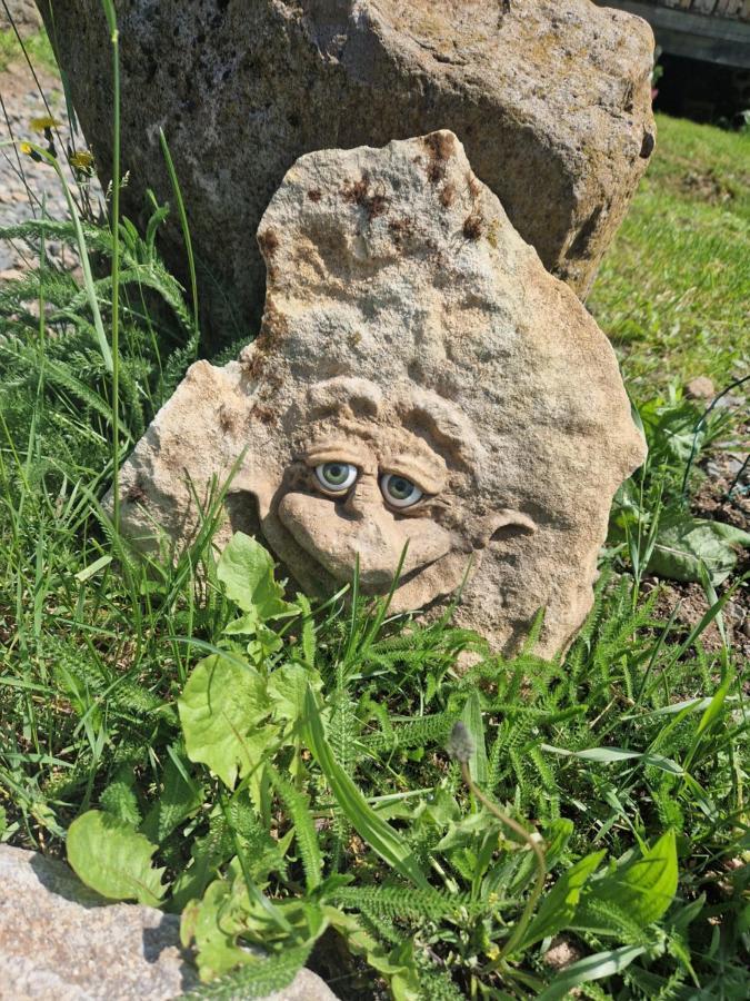 Saint-Diery Les Cabanes Feeriques Du Cheix المظهر الخارجي الصورة